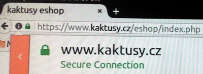 SECURE CONNECTION https://www.kaktusy.cz
